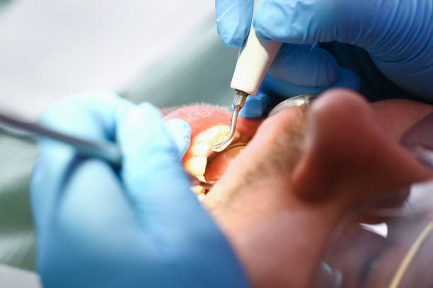 Best Weekend Emergency Dentist in Boaz, WV